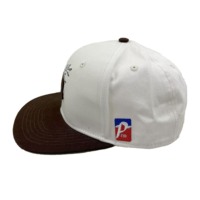 Casquette Snapback Sportive à Bord Plat Broderie 3D/Plate Personnalisée de Haute Qualité