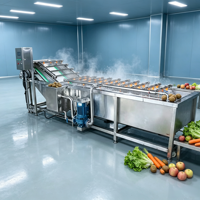 Bellenreinigingsmachine voor groenteverwerkingsbedrijven, bladgroenten, vers fruit, waterbellen