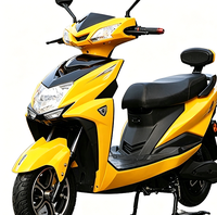 Nouveautés CKD 2026 – Trottinettes électriques 1000W 60V 48V 72V pour adultes, vélos électriques et motos électriques à vendre à prix abordable