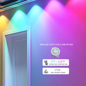 New <strong>Led</strong> Pixel Point Lighting Dc12v Waterproof 5050 Smd Smart <strong>Led</strong> <strong>Rgb</strong> Permanent <strong>Led</strong> Christmas Pixel <strong>Lights</strong> Outdoor Decoration - Product Image 4