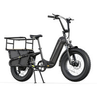 OEM ODM Langschwanz-Elektro-Lastenfahrrad 48V 250W Starke Leistung Große Ladekapazität Elektrisches Lieferfahrrad