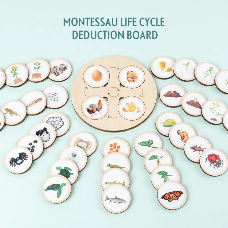 Animals and Plants Wooden Cards Montessori Life Cycle Board Wooden Toys Puzzle Demonstration Animal Life History