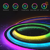 TTLL Neon Flex 02 Bande LED néon RGB étanche IP65 24V DC en silicone flexible avec garantie de 5 ans, intensité variable pour chambre à coucher