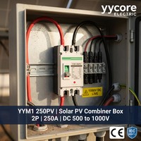 Disjoncteur à boîtier moulé solaire photovoltaïque YYM1 250PV 250A DC MCCB 2 pôles 500V 750V 1000V 20kA CE