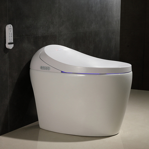 Bán Buôn Giá Rẻ 110V/220V S Trap/P Trap Nhật Bản Phòng Tắm Tự Động Tuôn Ra Thông Minh Electric Bidet Tự Động <span class=keywords><strong>Wc</strong></span> Thông Minh Nhà Vệ Sinh Bát - Product Image 1