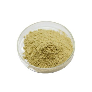 Extracto de Mango en Polvo de Grado Alimenticio 20%-99% Mangiferina, Precio Bajo, Envasado al Vacío en Tambores - Product Image 3