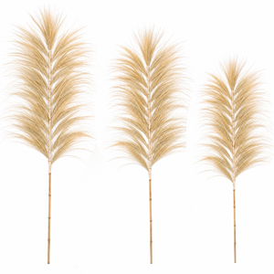 Hierba de Pampas Seca Natural, Planta Decorativa Esponjosa para Rellenar Jarrones, Estilo Rústico Bohemio - Product Image 4