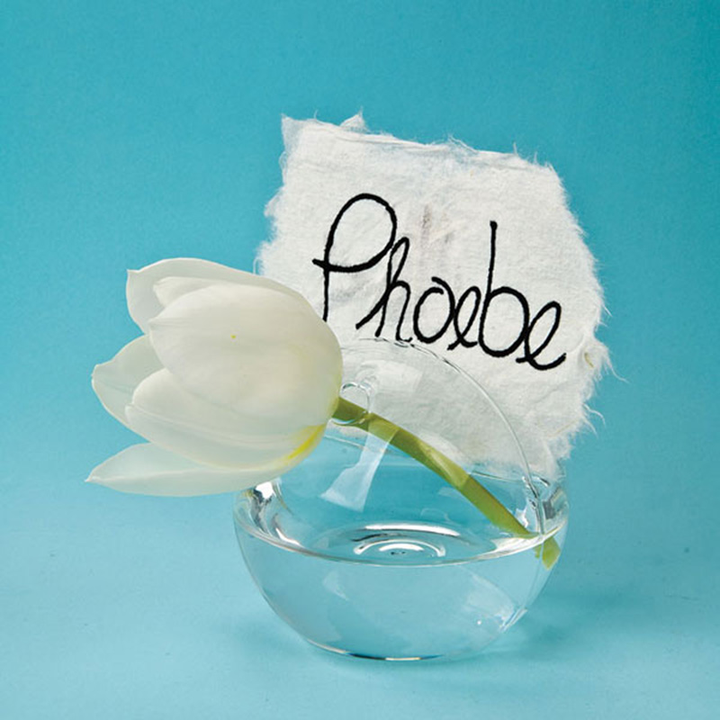 Круглый стеклянный шар ваза держатель карты стеклянный шар держатель карты