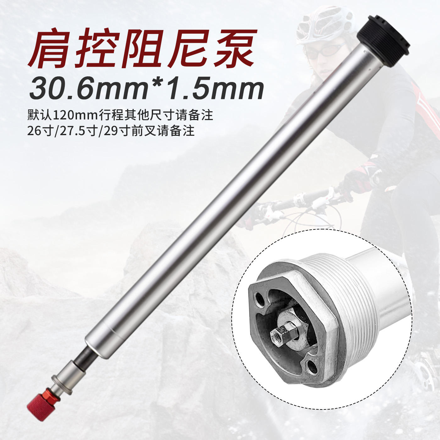 Shoulder control damping pump 30.6*1.5mm