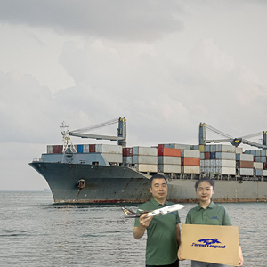 중국 톱 10 배송 요금 물류 서비스 최고의 배송 에이전트 Dropship 항공화물 운송업자 중국에서 캐나다로 미국 호주 - Product Image 2