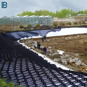 Уличный 3D дизайн модели PP Geocell наземная сетка асфальтоукладчик HDPE 20-50 мм Высота подъездной дороги дорожная сетка гравийная сотовая асфальтоукладчик цена для - Product Image 3