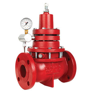 Válvula de Bola Reguladora de Contrapresión de Acero Inoxidable KIMRAY AAS 218 FGT BP-D - Product Image 1