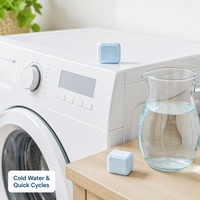 Pastilles détartrantes pour lave-linge à usage intensif, qualité professionnelle, pour l'entretien des lave-linges à jetons