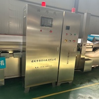 Ligne de production commerciale de friture entièrement automatique pour la production de frites et de poulet frit