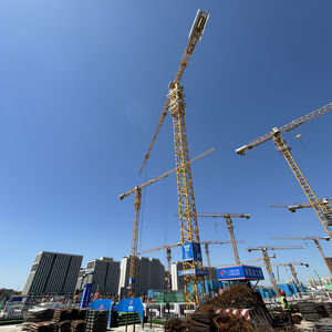 Grúa Torre Autoelevable de Plataforma <span class=keywords><strong>Plana</strong></span> DH620 (8530) de 32 Toneladas, 500t.m de Momento de Elevación, para Construcción - Product Image 2