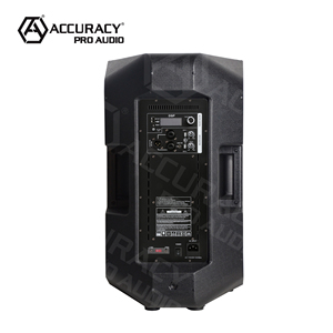 דיוק pro אודיו זרו12d3 מקצועי 500w 12 "אינץ 'חזק חזק פלסטיק מעמד-d מגבר Dj רמקול dj - Product Image 4