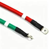 Câble de batterie rouge-vert personnalisé avec fil de cuivre étamé et borne à anneau pour stockage d'énergie, connexion d'onduleur