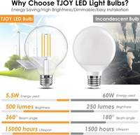 Ampoule LED à filament Edison G125 4W-12W, globe en verre, culot G125, AC/DC 12V-36V, éclairage