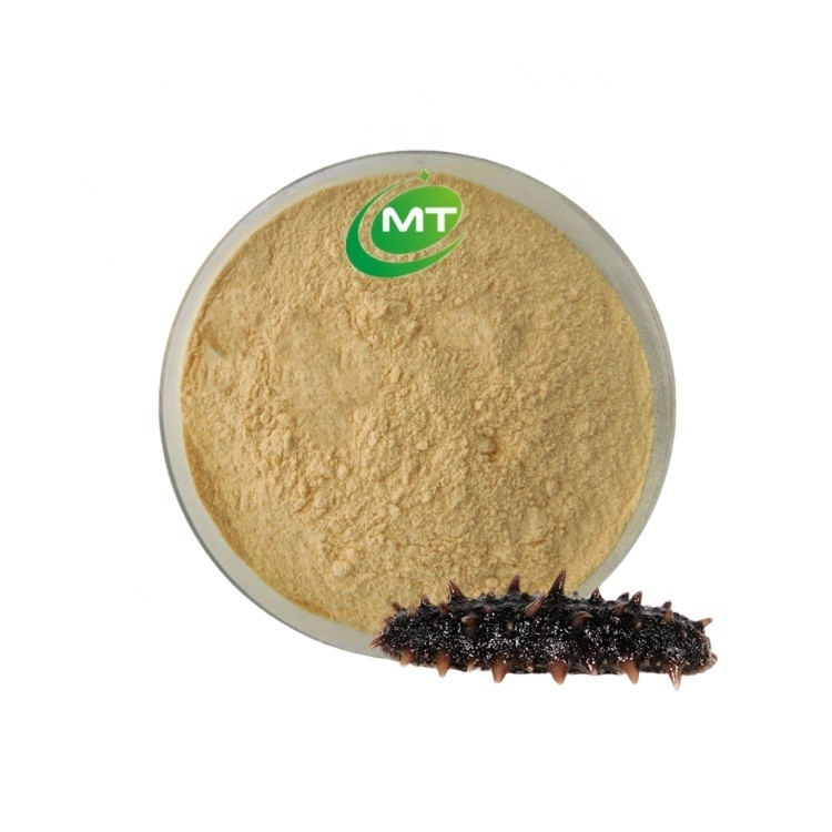 Factory Supply Hot Sale Dried Sea