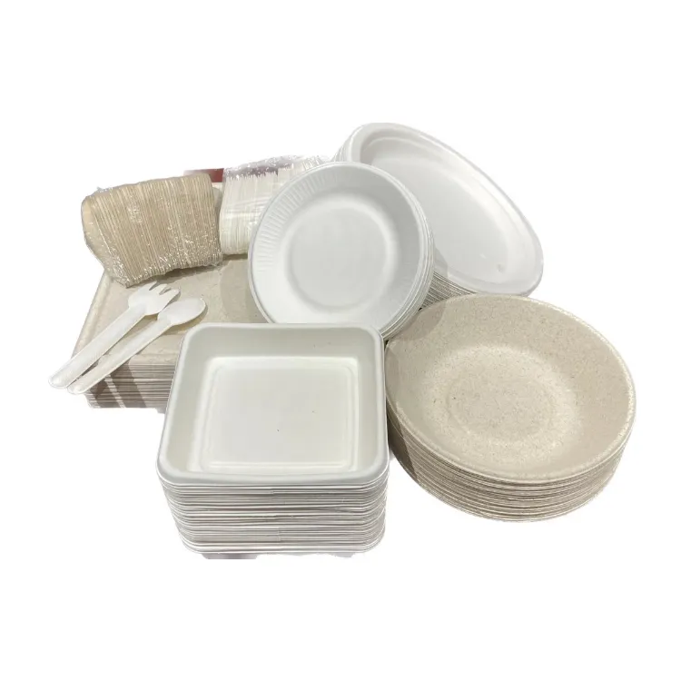 Kompost ierbare biologisch abbaubare Platos Platos Desechables Sushi-Tablett Essteller Set Bagasse-Tablett