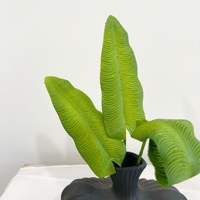 Mini feuille de plante Flamingo King, feuille artificielle en pot, feuille de Phénix Royal, aménagement paysager domestique, accessoire pour arrangement floral
