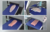 Machine de découpe de poids intelligente Coupeur de portions de poisson et système de tri CUT28
