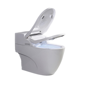 Toilettes intelligentes publiques pour personnes âgées et handicapées Usa Intelligent Spares - Product Image 1