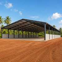 Construcción de Cancha de Pickleball con Estructura de Acero Prefabricada, Construcción de Pabellón Deportivo Interior para Instalaciones de Práctica Profesional
