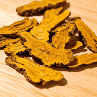 Poudre de rhizome de Coptis en fil d'or chinois écologique, extrait végétal standardisé pour la matière première des soins de la peau
