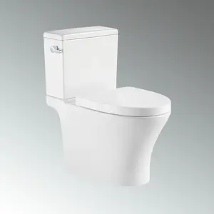 BAILU A-702B or au sol wc couleur salle de bain toilette ensemble salle de bain au sol s pan