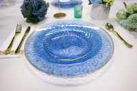 Assiettes jetables transparentes de 9 pouces avec bord doré pour fête, assiettes à dessert jetables pour fête, remise de diplôme, anniversaire, mariage