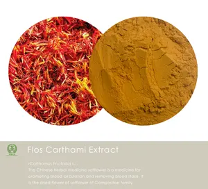 Pure Natural Safflower Extract 4:1\20:1 Flos Carthami Extract