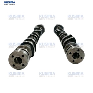 En stock <span class=keywords><strong>arbre</strong></span> à cames d'admission et d'échappement de qualité OEM pour Land Rover Winning 2.0T pièce automobile pièces d'<span class=keywords><strong>arbre</strong></span> à <span class=keywords><strong>came</strong></span> de voiture OE LR030366 JDE36103 - Product Image 6