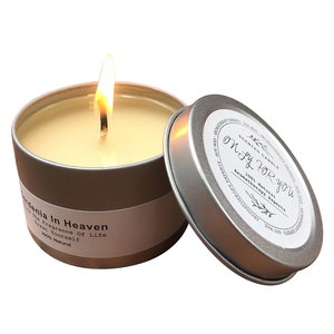 Jialong Houseware Handmade Organic Soy Wax <b>Candle</b> Metal Jar Nordic Style Aromatherapy Scented Customizable Wedding Use 1-20 - Product Image 2