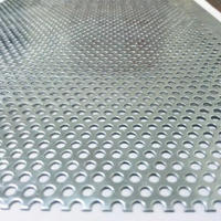 Placa Perforada de Acero Inoxidable 304 con Orificios Redondos, Metal Perforado de Acero Inoxidable SS304 para Filtro