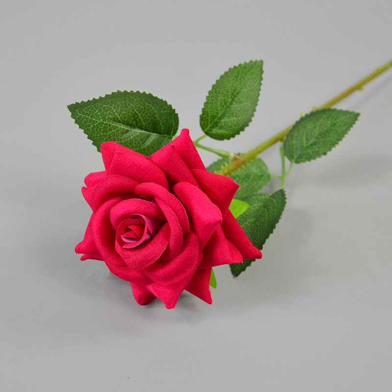 rose red