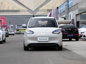 Wuling Bingo <span class=keywords><strong>2023</strong></span> 203KM Édition Confort Coffre Arrière Pliable Suspension Simple Mini Voiture Électrique Compacte Facile à Stationner Hayon Rétro Moteur 50kW - Product Image 2