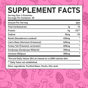 Obtenez tous les avantages des gommes à mâcher au complexe de champignons Reishi, bien-être cognitif quotidien, extrait de cinq champignons, santé du corps entier, gommes à mâcher molles - Product Image 6