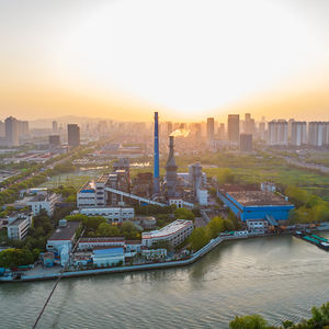 Protocatechaldehído/3,4-dihidroxibenzaldehído de Alta Calidad Cas 139-85-5 - Product Image 5