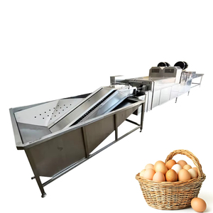 <b>Egg</b> Washer Machine Stainless Steel Industrial <b>Egg</b> Washing Equipment for Poultry Farm Use - Product Image 1