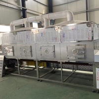 Industriële magnetron droogmachine voor voedseldroging en sterilisatie, hoge efficiëntie, energiebesparend