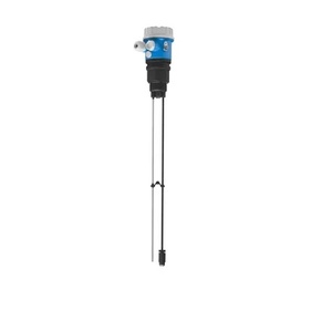 Equipo de Medición de Nivel Capacitivo E+H Liquicap FMI21/51/52 316L IP67 Directo de Fábrica a Precio Competitivo - Product Image 3