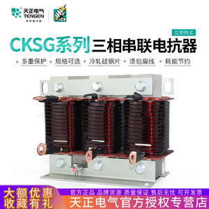Tengen cksg ชุดเครื่องปฏิกรณ์สามเฟส1.4 0.45 7% แรงดันไฟฟ้าต่ำตัวเก็บประจุชดเชยพลังงานปฏิกิริยาธนาคาร - Product Image 5