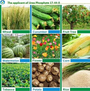 यूरिया फॉस्फेट 17-44-0 फैक्टरी मूल्य - Product Image 6