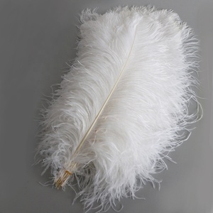 Vente en gros de grandes <span class=keywords><strong>plumes</strong></span> d'autruche <span class=keywords><strong>blanches</strong></span> pour décoration de mariage, artisanat, centre de table de fête de carnaval, motif teint - Product Image 1