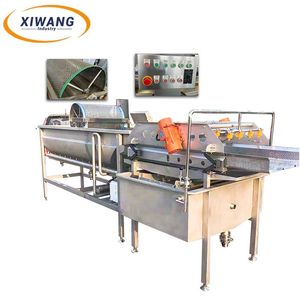 Professional Grade <b>Vegetable</b> Cleaning System Eddy Current Washing Equipment with Motor for Fruit & <b>Vegetable</b> Processing Plant - Product Image 3