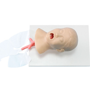 Simulateur d'entraînement à l'intubation trachéale pour enfant, taille réelle, en PVC durable, mannequin de soins infirmiers pour la gestion des voies respiratoires en milieu médical - Product Image 4