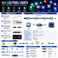 Lumière LED RGB programmable étanche IP67, éclairage extérieur adressable, chaîne de LED WS2811 SPI pour la décoration architecturale