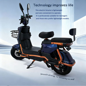 Bicicleta Eléctrica de Dos Ruedas para Adultos con Llantas Anchas, 500W/1000W, 48V, Plegable, Cuadro de Acero al Carbono, 3 Velocidades, Motor Trasero Digital - Product Image 2