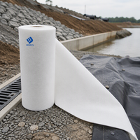 . Tissu géotextile tissé pour le renforcement de la base routière, fournisseur direct d'usine